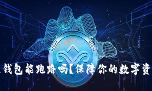 区块链钱包能跑路吗?保障你的数字资产安全