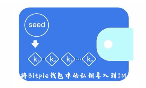 如何将Bitpie钱包中的私钥导入到IM钱包