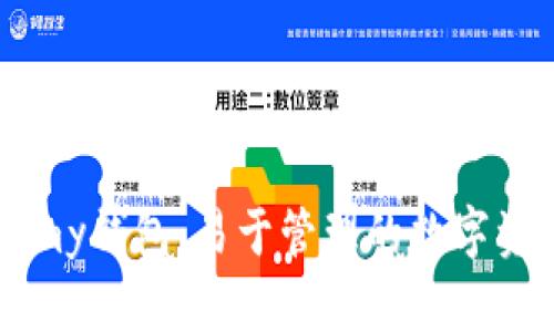 虚拟币my钱包:易于管理的数字资产账户