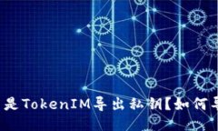 什么是TokenIM导出私钥？如何导出？