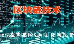 如何使用imToken在苹果iOS上进行钱包管理及安全管