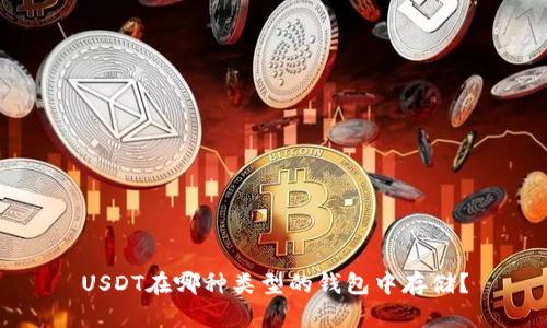 USDT在哪种类型的钱包中存储?