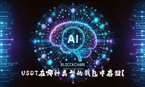 USDT在哪种类型的钱包中存储?