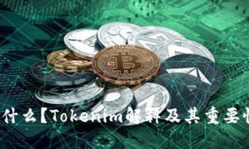 tokenim是什么?Tokenim解释及其重要性/tokenim