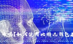 比特儿钱包可装人民币吗