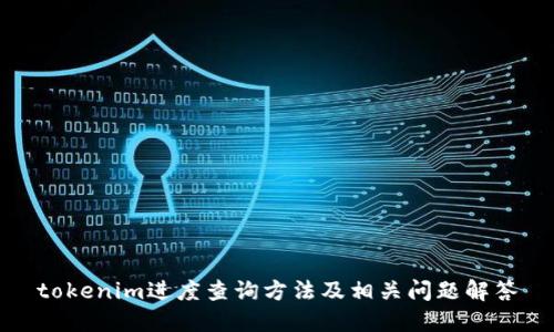 tokenim进度查询方法及相关问题解答