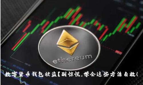 数字货币钱包被盗?别惊慌,学会这些方法自救!