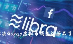 如何解决Gopay虚拟币钱包注