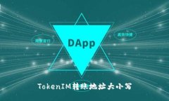 TokenIM转账地址大小写
