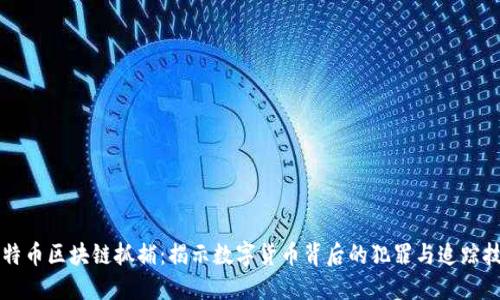 比特币区块链抓捕：揭示数字货币背后的犯罪与追踪技术
