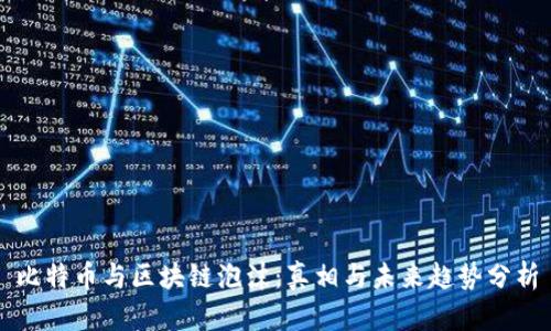 比特币与区块链泡沫：真相与未来趋势分析