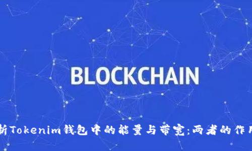 深入解析Tokenim钱包中的能量与带宽：两者的作用与区别