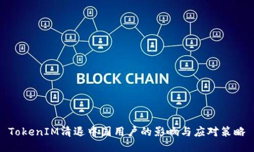 TokenIM清退中国用户的影响与应对策略