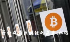 Pi币是否会成为区块链的未来：机遇与挑战