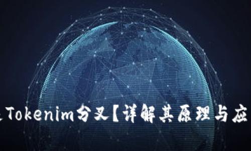 什么是Tokenim分叉？详解其原理与应用前景