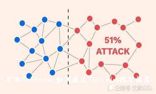 矿池Tokenim：如何通过Tokenim挖矿收益