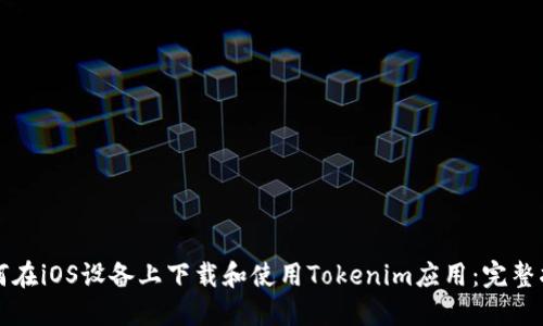如何在iOS设备上下载和使用Tokenim应用：完整指南