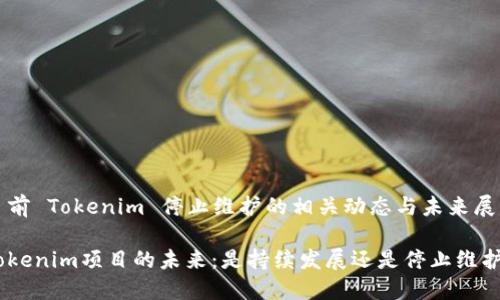 目前 Tokenim 停止维护的相关动态与未来展望

Tokenim项目的未来：是持续发展还是停止维护？
