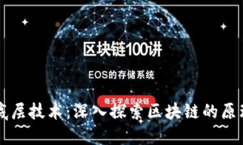 特币的底层技术：深入探索区块链的原理与应用