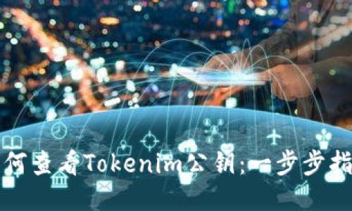 如何查看Tokenim公钥：一步步指南