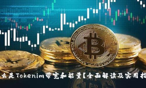 什么是Tokenim带宽和能量？全面解读及实用指南