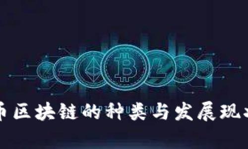 比特币区块链的种类与发展现状分析