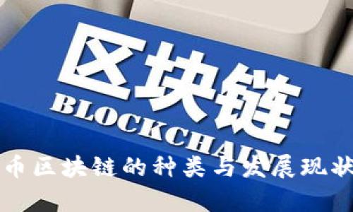 比特币区块链的种类与发展现状分析