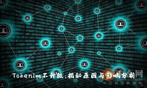 Tokenim不升级：揭秘原因与影响分析