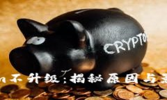 Tokenim不升级：揭秘原因与