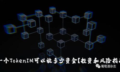 一个TokenIM可以放多少资金？投资和风险指南