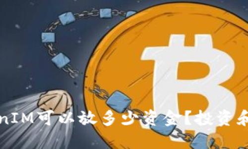 一个TokenIM可以放多少资金？投资和风险指南