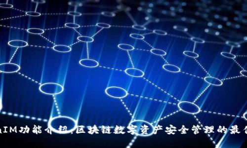 TokenIM功能介绍：区块链数字资产安全管理的最佳选择