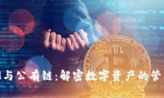 TokenIM与公有链：解密数字
