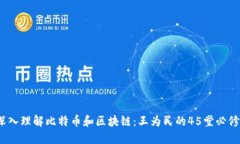  深入理解比特币和区块链：王为民的45堂必修课
