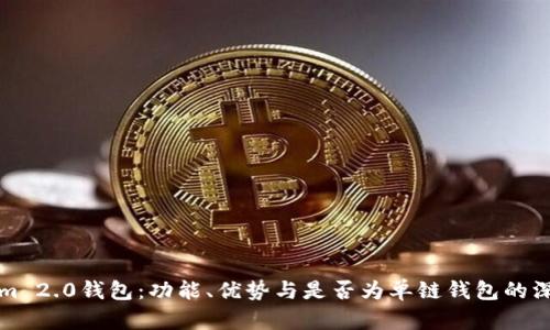 Tokenim 2.0钱包：功能、优势与是否为单链钱包的深度解析