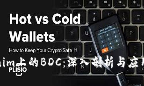 Tokenim上的BDC：深入剖析与应用前景