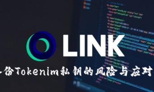 不备份Tokenim私钥的风险与应对措施