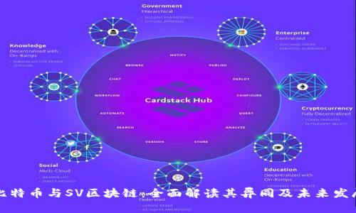 比特币与SV区块链：全面解读其异同及未来发展
