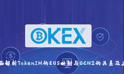 全面解析TokenIM的EOS映射与OCN2的关系及应用