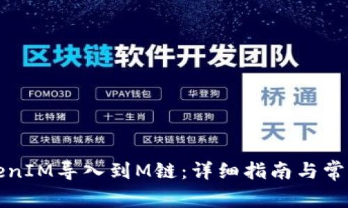 如何将TokenIM导入到M链：详细指南与常见问题解答