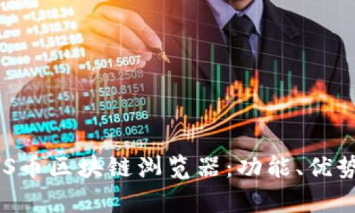 全面解析RDS币区块链浏览器：功能、优势与使用指南