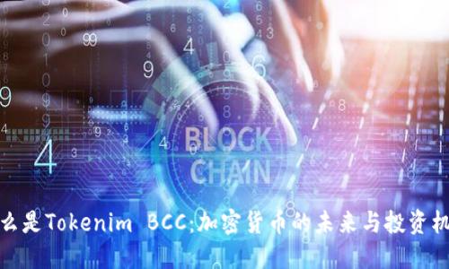 什么是Tokenim BCC：加密货币的未来与投资机遇