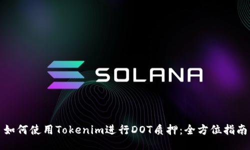 如何使用Tokenim进行DOT质押：全方位指南