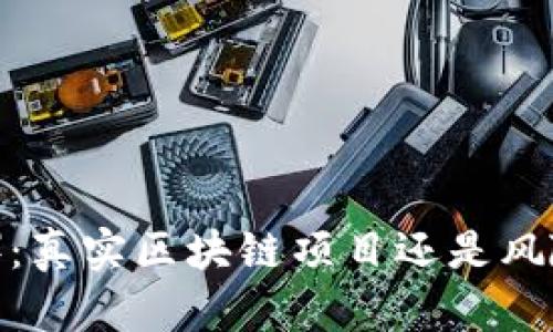 派币（Pi Network）：真实区块链项目还是风险投资？安全性评析