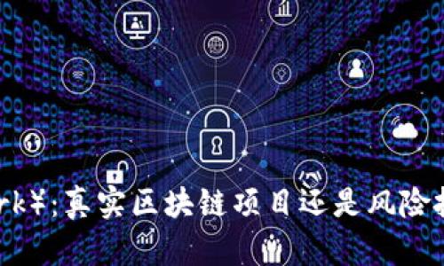 派币（Pi Network）：真实区块链项目还是风险投资？安全性评析