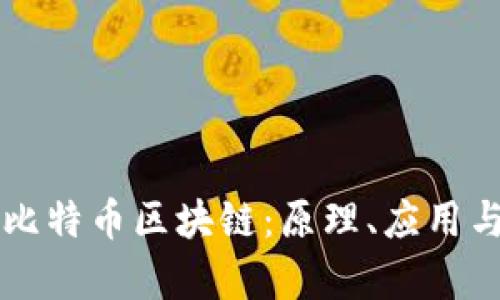 深入解析比特币区块链：原理、应用与未来展望