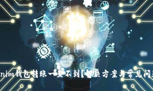  Tokenim钱包转账一直不到？解决方案与常见问题解析