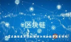 山寨区块链最新信息：如