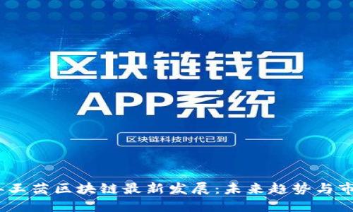 2023年王茜区块链最新发展：未来趋势与市场机遇