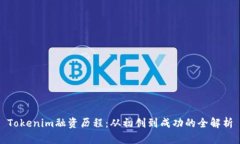 Tokenim融资历程：从初创到